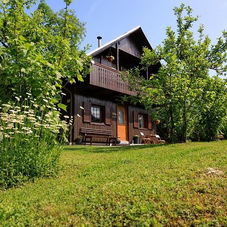 Pocitniska Hisa Eros Villa Bohinji-tó Kültér fotó