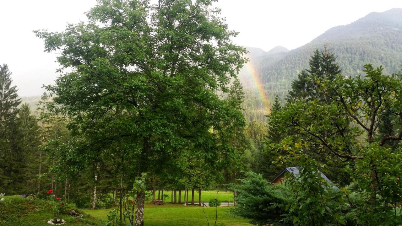 Pocitniska Hisa Eros Villa Bohinji-tó Kültér fotó